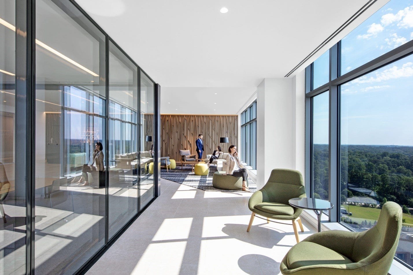 conf client Raleigh NC Confidential Client, Raleigh, NC. Photography © Eric Laignel.