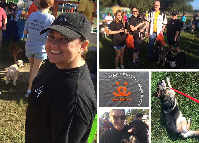 Compilation by IA Interior Architects.