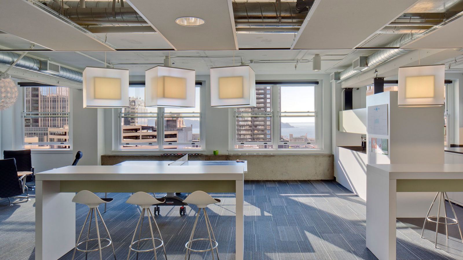 IA - Copacino + Fujikado