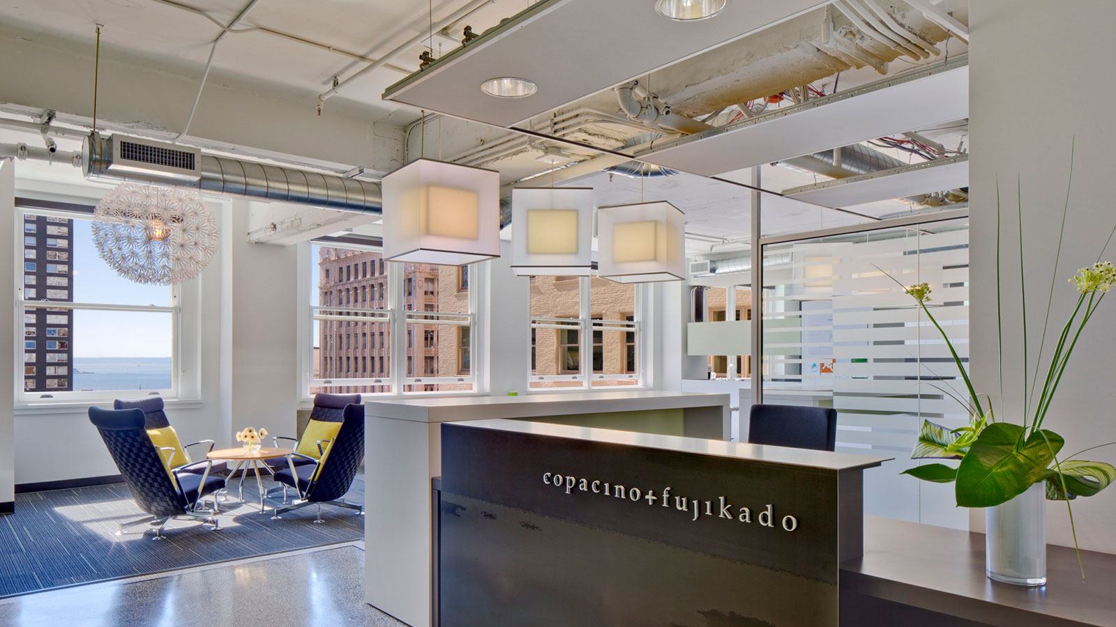 IA - Copacino + Fujikado