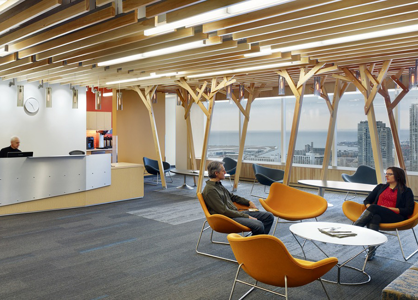 Confidential Client in Toronto. Photo by Tom Arban.