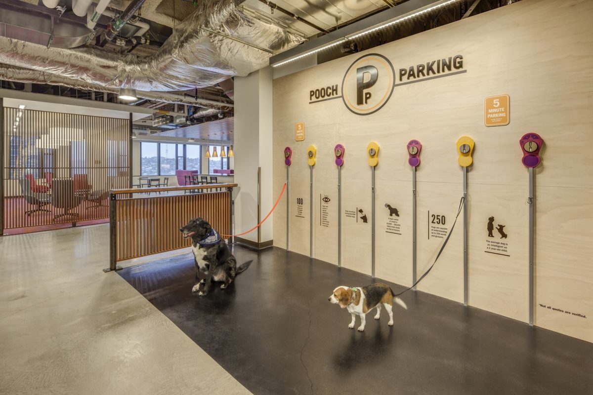 Confidential client in Seattle, WA. Photo by Sherman Takata