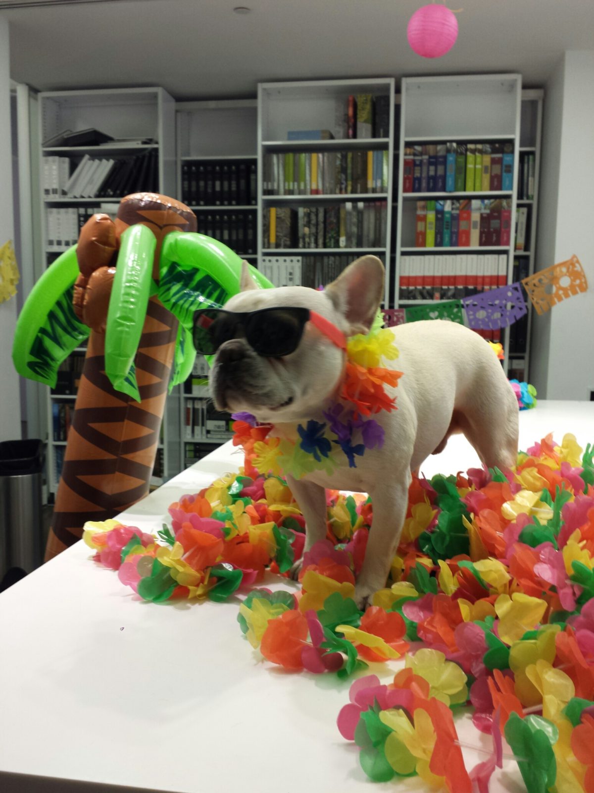 Photo courtesy of IA.