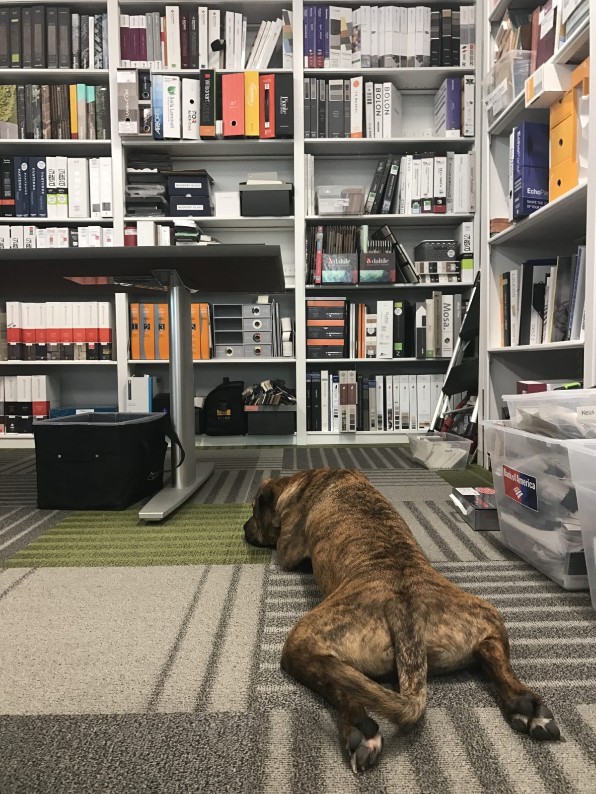 Photo courtesy of IA.