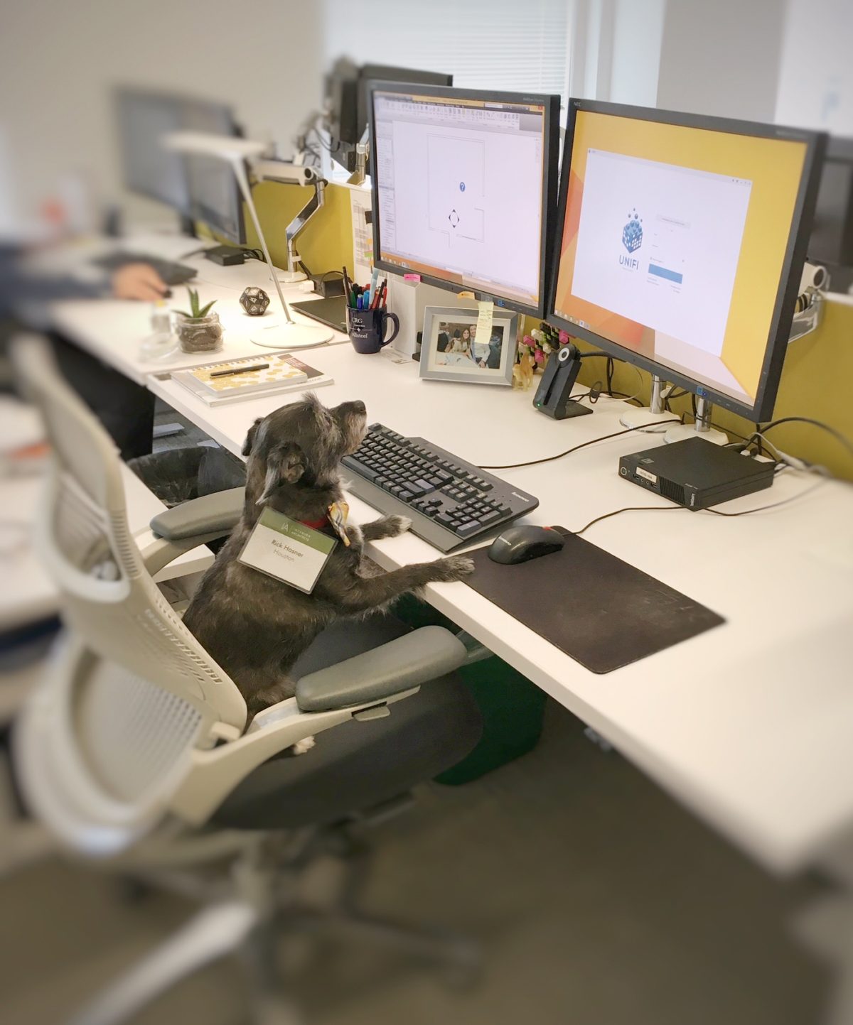 Photo courtesy of IA.