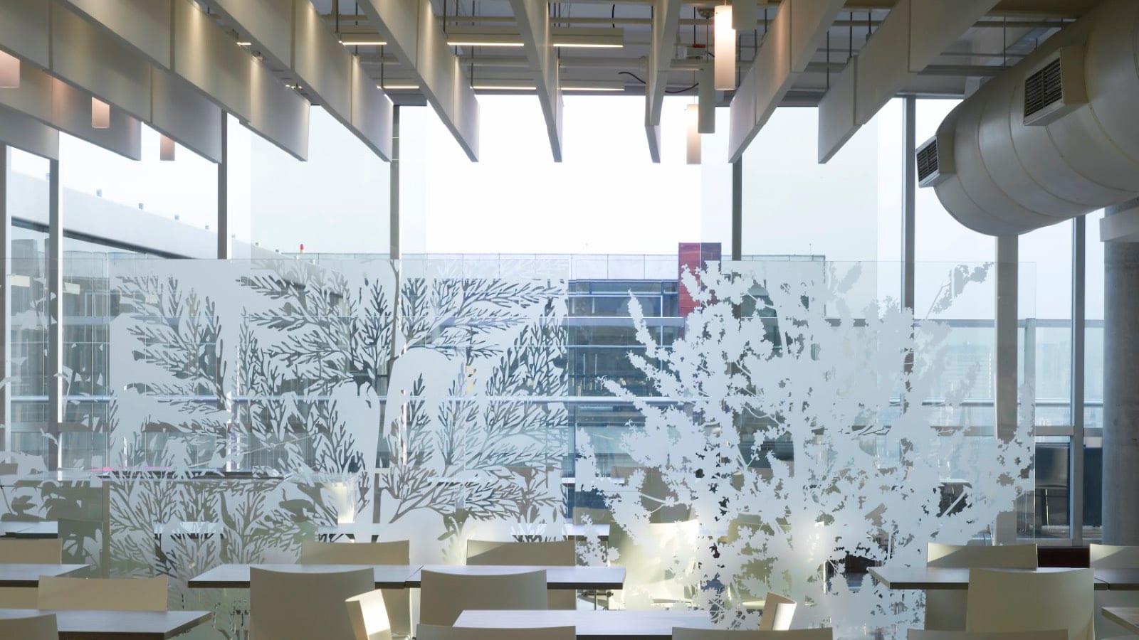 Glass11202018_Banco_9