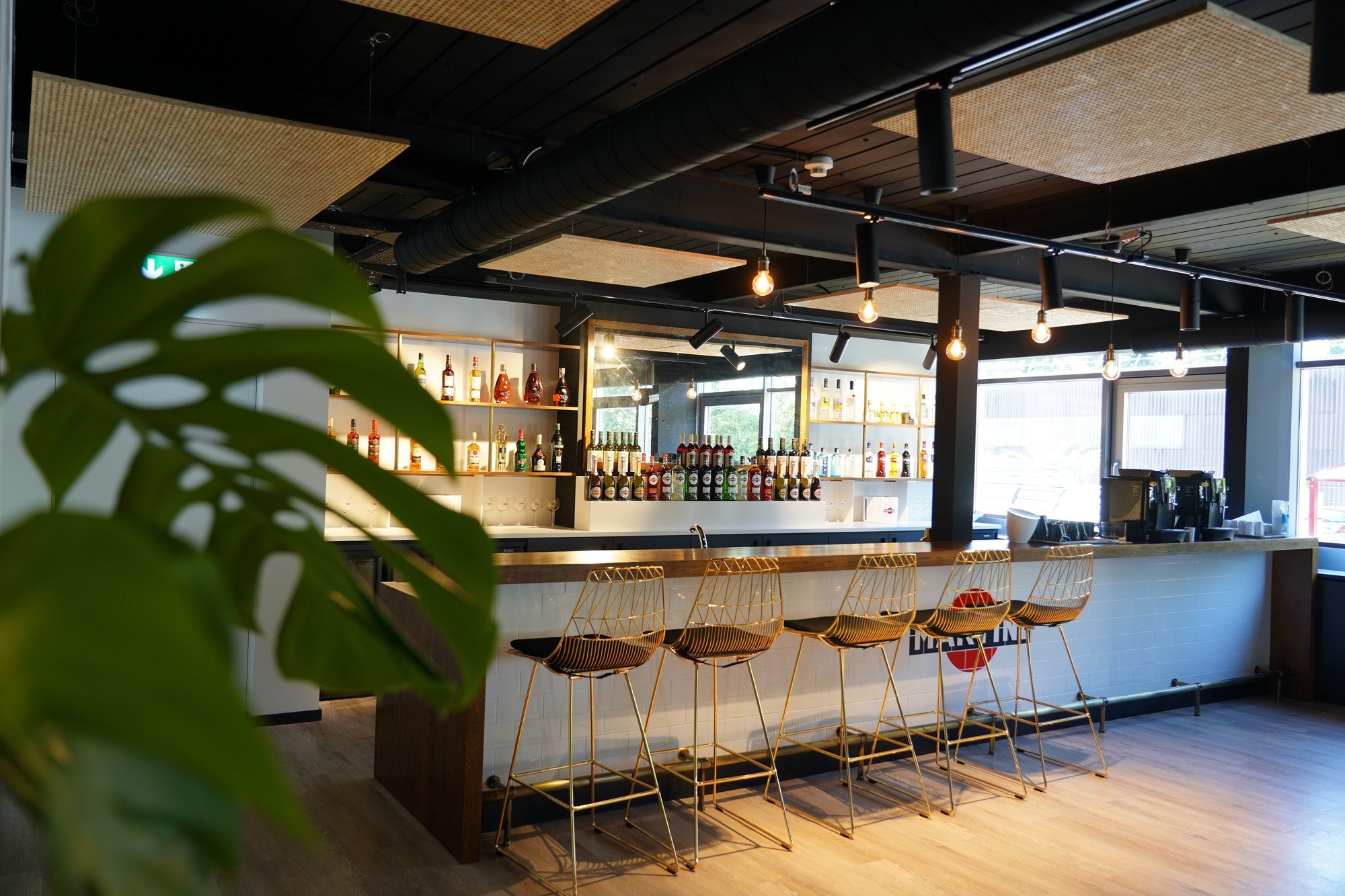 08BGBK_0003_000_Bacardi_Geneva_N19_iawebsite