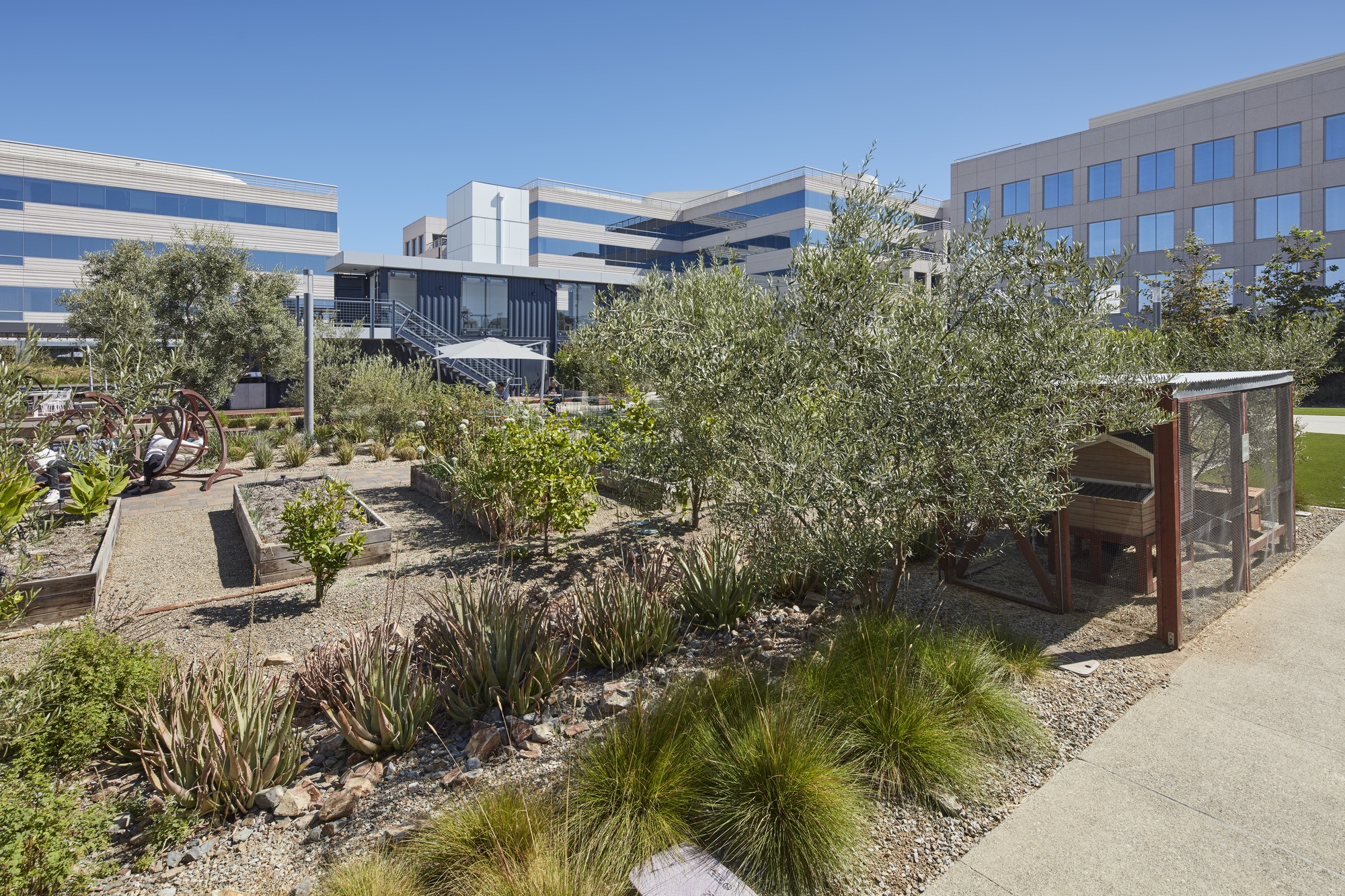 Hines Intersect Chicken Coop