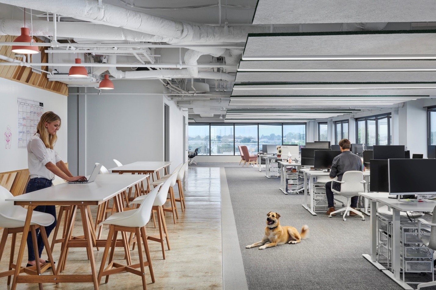 Taskrabbit Taskrabbit