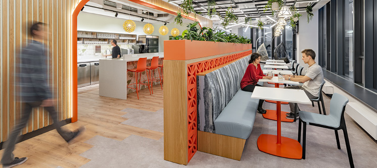 Construction Construction - Ecos Studio