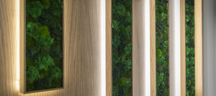 Consulting Consulting - Ecos Studio