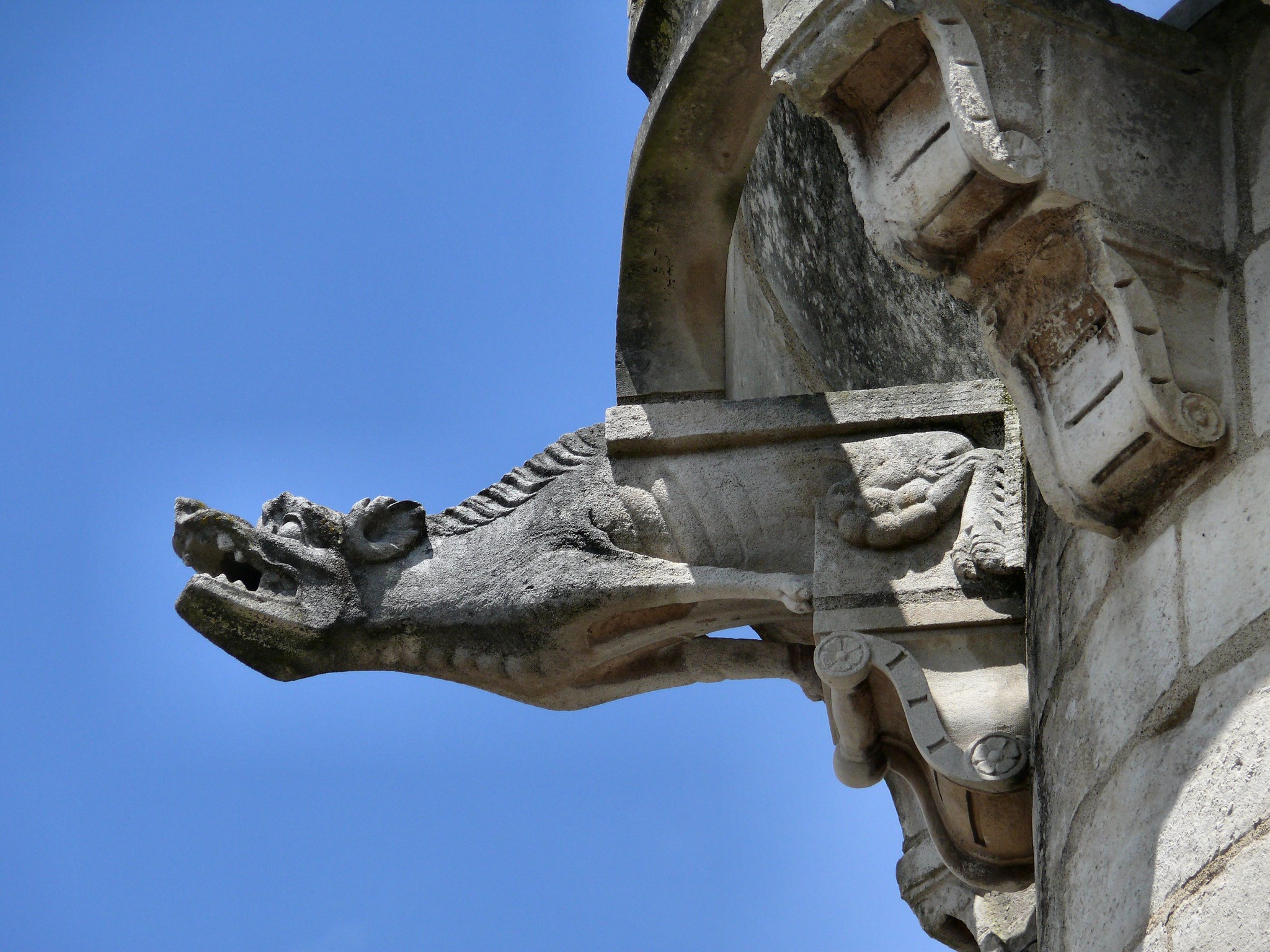 Gargoyle by Dynamosquito Gargoyle, Niort Poitou-Charentes, France