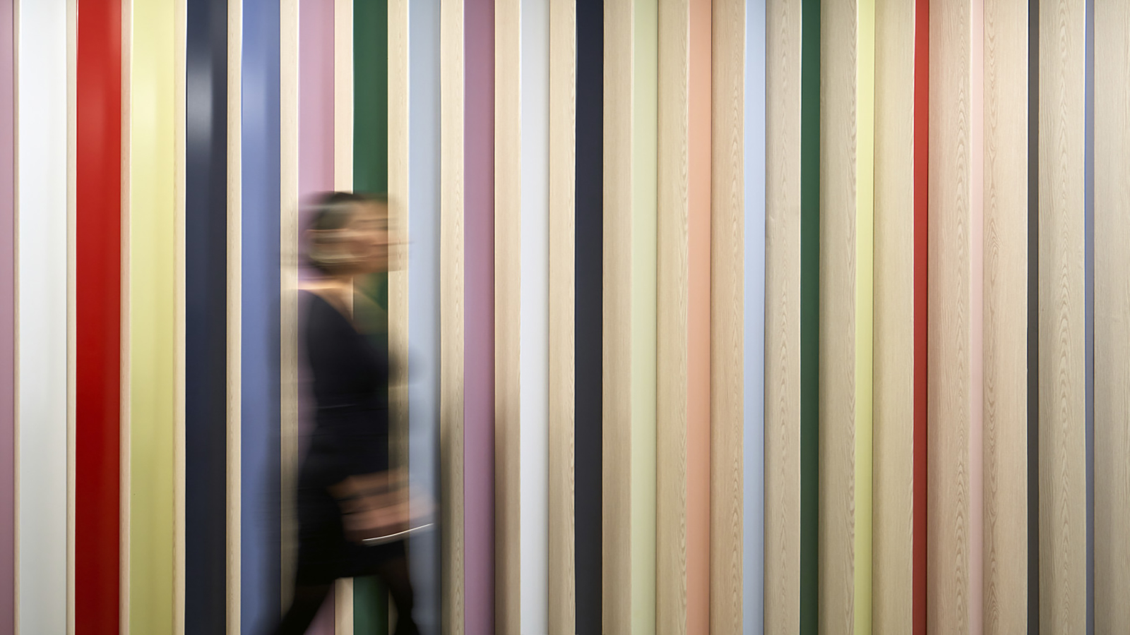 Colorful EGD wall display