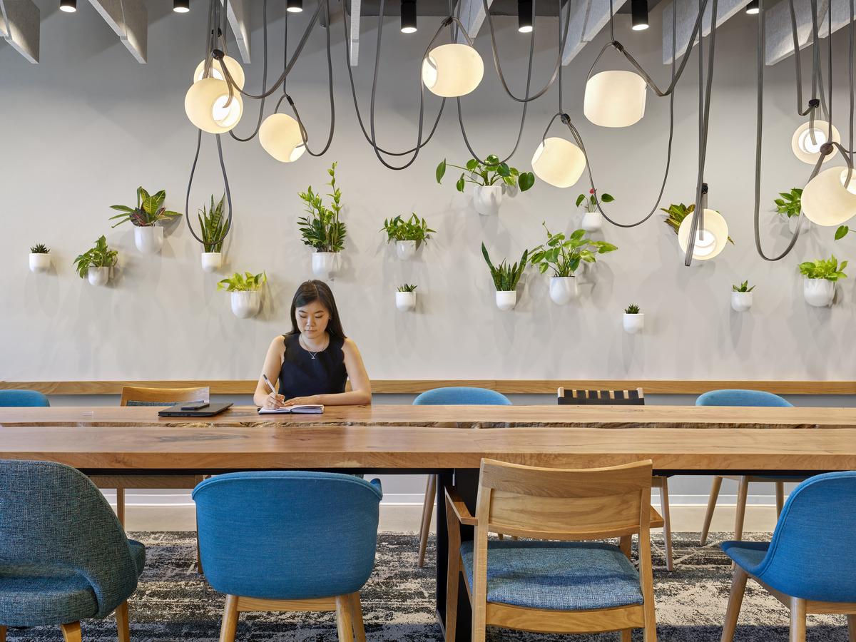 IA Interior Architects