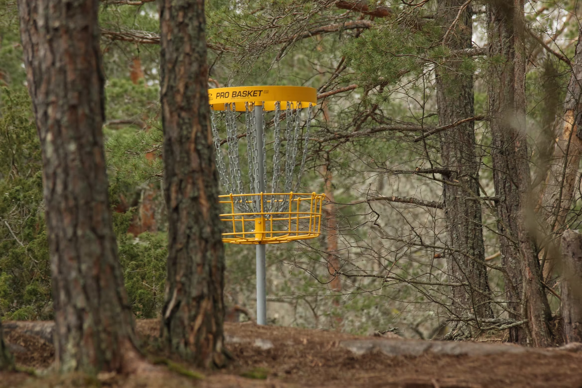 A disc golf basket in a woodland setting